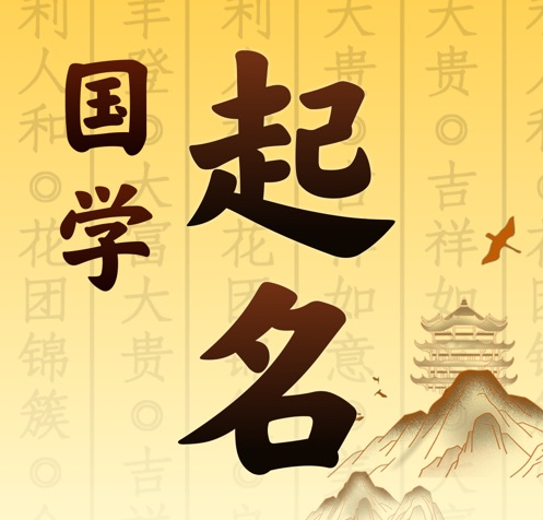 上思国学起名 人工起名一对一